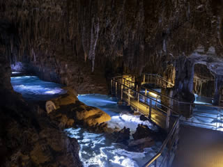 ☆【那覇発/半日南部観光】ラドOSB号『斎場御嶽&おきなわワールド・玉泉洞コース+ステーキランチ付』★「斎場御嶽」→「おきなわワールド・玉泉洞」+「ステーキランチ付(国際通りにて)」★※斎場御嶽入場料は含まれておりません。★¥大人7,300-小人¥6,800-★1